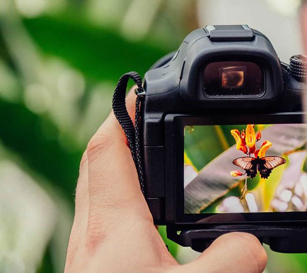 برنامه ریزی کنکور هنر