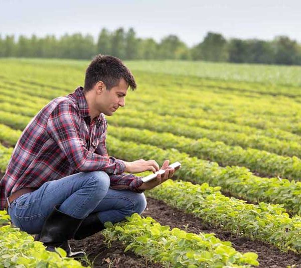 مشاوران رتبه برتر کنکور کارشناسی ارشد کشاورزی و منابع طبیعی