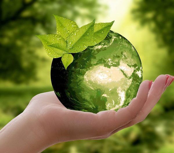 مشاوره کنکور کارشناسی ارشد کشاورزی و منابع طبیعی