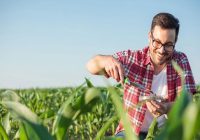 پشتیبان کنکور دکتری کشاورزی و منابع طبیعی پشتیبان کنکور دکتری کشاورزی و منابع طبیعی