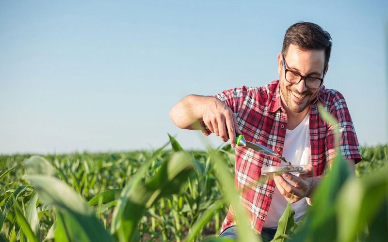 پشتیبان کنکور دکتری کشاورزی و منابع طبیعی