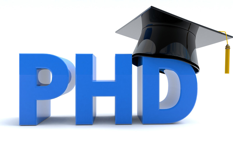 پشتیبان کنکور دکتری زبان